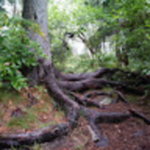 Meet your Posher, Viliami